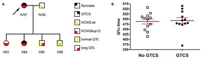 Linkage Evidence for a Two-Locus Inheritance of LQT-Associated Seizures in a Multigenerational LQT Family With a Novel KCNQ1 Loss-of-Function Mutation